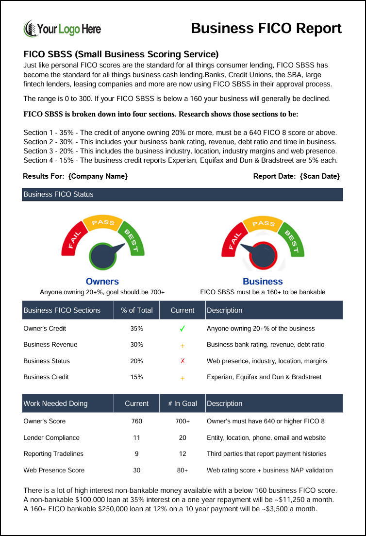 Example Business FICO SBSS Report showing key score factors, generated by BankableIQ